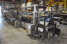 Cloud / Roberts Continuous Motion HFFS Stand-Up Pouch Machine