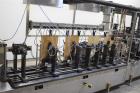 Cloud / Roberts Continuous Motion HFFS Stand-Up Pouch Machine