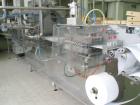 Used Hassie THL 22/28 Form Fill and Seal Machine