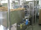 Used Hassie THL 22/28 Form Fill and Seal Machine