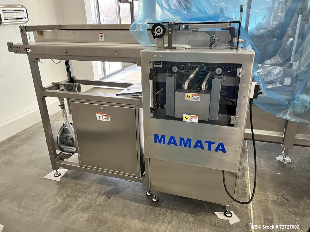 Used- Mamata Model PFS-250 Premade Pouch Machine. Capable of speeds up to 55 per minute (depending on size and application)....