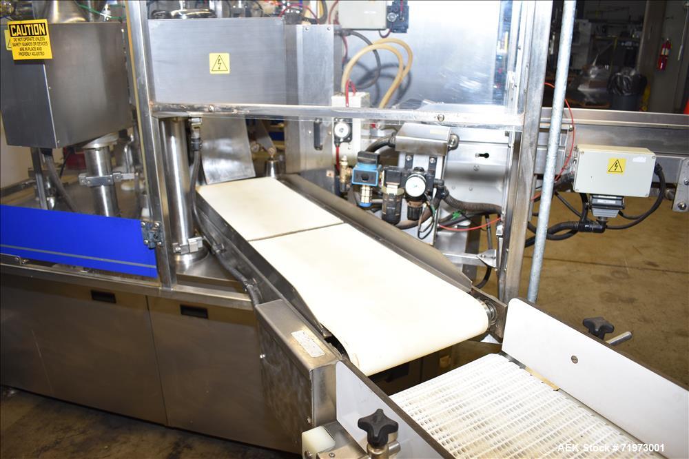 Used PSG Lee Horizontal Pre-Made Pouch Packager with Powder Auger Filler