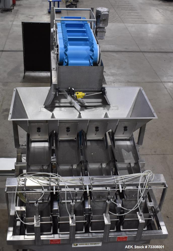 Tishma Model Flex 7 (ROO-100) Premade Pouch Filler and Sealer W/ Weigh Right PMB4 L linear scale