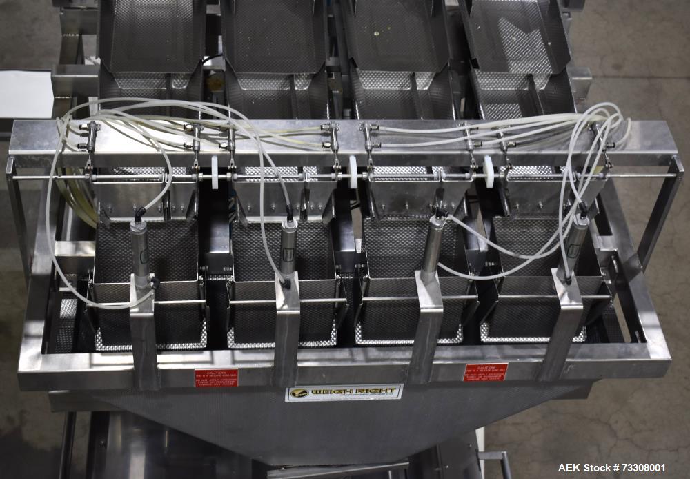 Tishma Model Flex 7 (ROO-100) Premade Pouch Filler and Sealer W/ Weigh Right PMB4 L linear scale