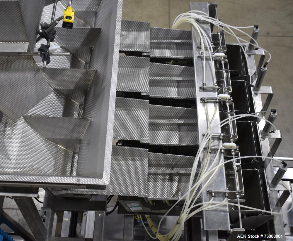 Tishma Model Flex 7 (ROO-100) Premade Pouch Filler and Sealer W/ Weigh Right PMB4 L linear scale