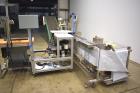 Used Automated Packaging Systems Model FAS Sprint Revolution Bagger