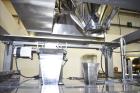 Used Bodolay P60 Horizontal Pre-Made Pouch Packager with Scale Filler