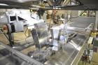Used Bodolay P60 Horizontal Pre-Made Pouch Packager with Scale Filler