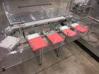 Used Bossar BMS-2.0/FLT-2PMP Simplex Duplex Horizontal Form Fill Seal Machine