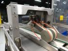 Used PSG Lee Model RP-8TZ-36 Premade Pouch Packager