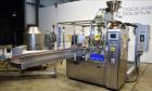 Used PSG Lee Horizontal Pre-Made Pouch Packager with Powder Auger Filler