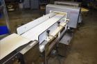 Used PSG Lee Horizontal Pre-Made Pouch Packager with Powder Auger Filler
