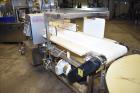 Used PSG Lee Horizontal Pre-Made Pouch Packager with Powder Auger Filler