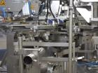 LeePack / PPi Technologies Premade Pouch Fill-seal Machinery