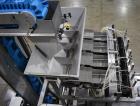Tishma Model Flex 7 (ROO-100) Premade Pouch Filler and Sealer W/ Weigh Right PMB4 L linear scale