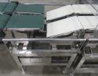 Solpac Model 8SD-165 Duplex Premade Pouch Machine-Used