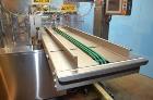 Used- Viking Solpac Rotary Pre Made Pouch Packager  Model 8SZ450