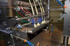 Used Viking Solpac Rotary Pre Made Pouch Packager  Model 8SZ450