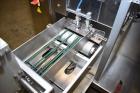 Used WeighPack Systems Swifty Bagger, Model 3600 Preformed Pouch Filler