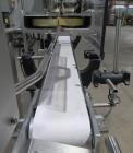 Used Weighpack Systems Zippy Bagger – Wicketed Bag Packaging Machine, Up to 35 B