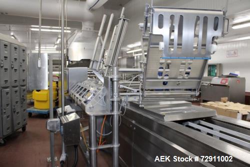 Used Repak RE20 Rollstock Thermoforming Packaging Line – Horizontal Form Fill Seal Machine, 460mm Web