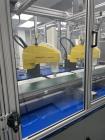 Multivac Model R245 Thermoformer with Fanuc Robotic Loaders for Swab Sticks