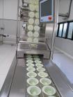 Used Multivac R255 Thermo Forming Packager