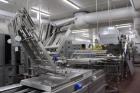 Used Repak RE20 Rollstock Thermoforming Packaging Line – Horizontal Form Fill Seal Machine, 460mm Web