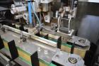 Used Fres-Co (Goglio) GL14-C Continuous Motion Form Fill Seal Packaging Machine