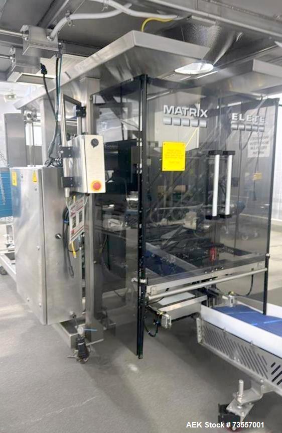 Matrix Model DS-13 Vertical FFS Bagger - High-Speed Packaging Solution