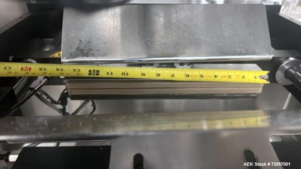 Matrix Model DS-13 Vertical FFS Bagger - High-Speed Packaging Solution