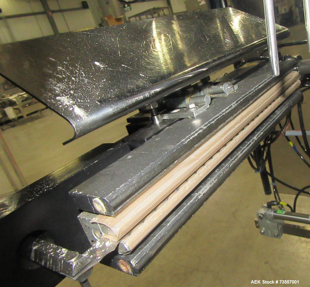 Matrix Model DS-13 Vertical FFS Bagger - High-Speed Packaging Solution