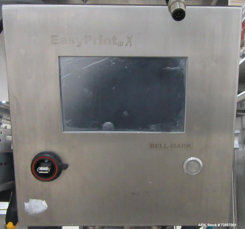 Matrix Model DS-13 Vertical FFS Bagger - High-Speed Packaging Solution