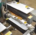 Viking Masek Velocity 250 Vertical Form Fill Seal Machine