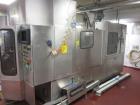 Used ALP (Weiler) Blow Fill Seal Machine