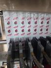 Used Prodo-Pak PV-215-CSW-10 Multi-Lane Liquid Form Fill Seal Machine – 10-Lane Sachet Packaging System