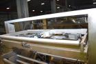 Used Bosch Model SVB3600RB Vertical Form Fill Seal Pouch Machine with Combinati