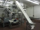 Used Eagle Packaging Transpack II with Eagle CV-14 Dimpled Bucket Scale