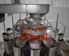 Used Matrix Mercury Vertical Form Fill Seal (VFFS) Packaging System – Complete Line