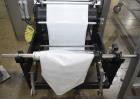 Used Matrix Mercury Vertical Form Fill Seal (VFFS) Packaging System – Complete Line