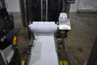 Used Matrix Mercury Vertical Form Fill Seal (VFFS) Packaging System – Complete Line
