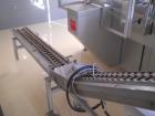 Used Aranow, Model Araform 6 Stick Pack Machine with Enflex Cartoner.