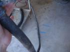 Used Nordson Durablue 4 Hot Melt Glue System.  Has a single hose and hand held gun.  Last used in a foam operation.