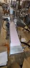 Used Capmatic LabelStar Labeler