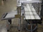 Used Domino M-Series Print & Apply Labeler with Optel OP300-A Inspection System