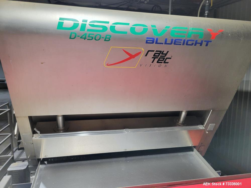 Used Raytec Vision Discovery Series D-450-B Belt Optical Sorter – High-Capacity Sorting for Fruits & Vegetables