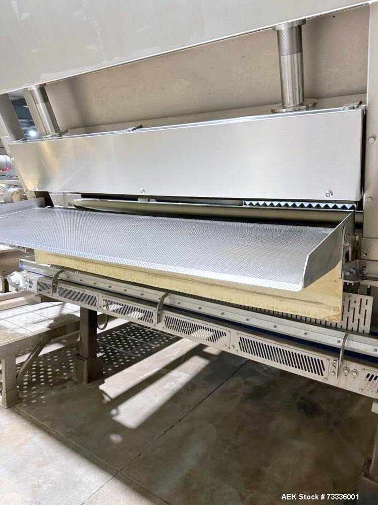 Used Raytec Vision Discovery Series D-450-B Belt Optical Sorter – High-Capacity Sorting for Fruits & Vegetables