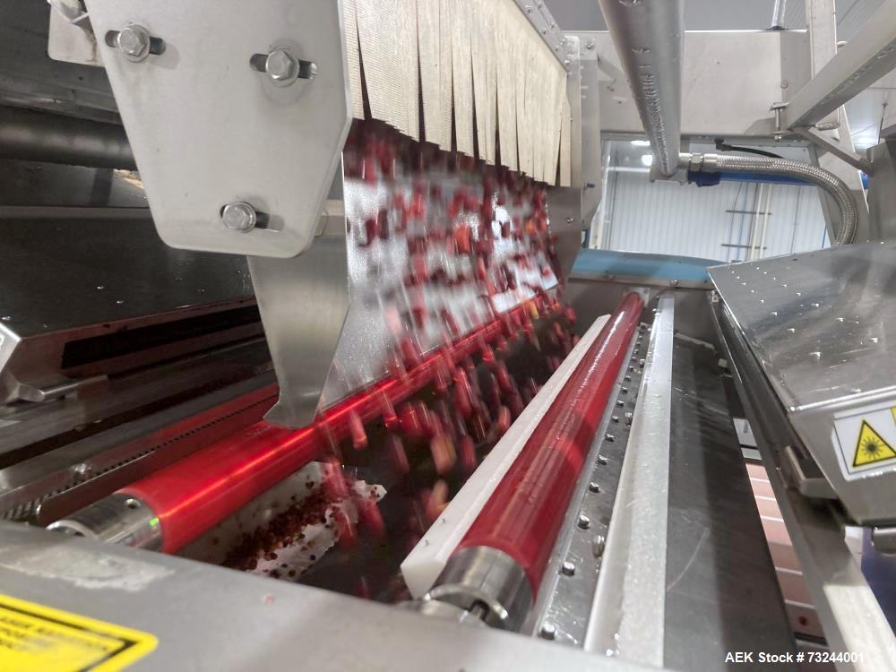 Key Technologies Advanced Laser Sorter, Model Taurys.