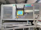 Used Raytec Vision Discovery Series D-450-B Belt Optical Sorter – High-Capacity Sorting for Fruits & Vegetables