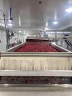 Key Technologies Advanced Laser Sorter, Model Taurys.